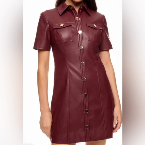 TOCCIN Faux Leather Short Sleeve Dress
Burgundy Faux Leather Button-Up Dress - Picture 3 of 8